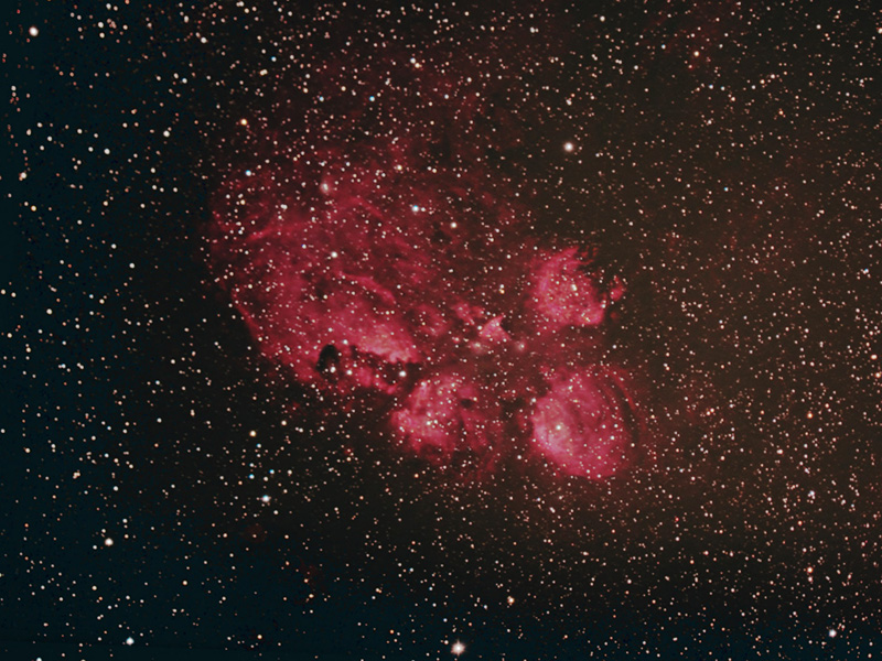 The Cat's Paw Nebula