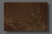 Geminids (meteors)