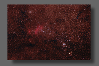 Northern Jewel Box in Scorpius