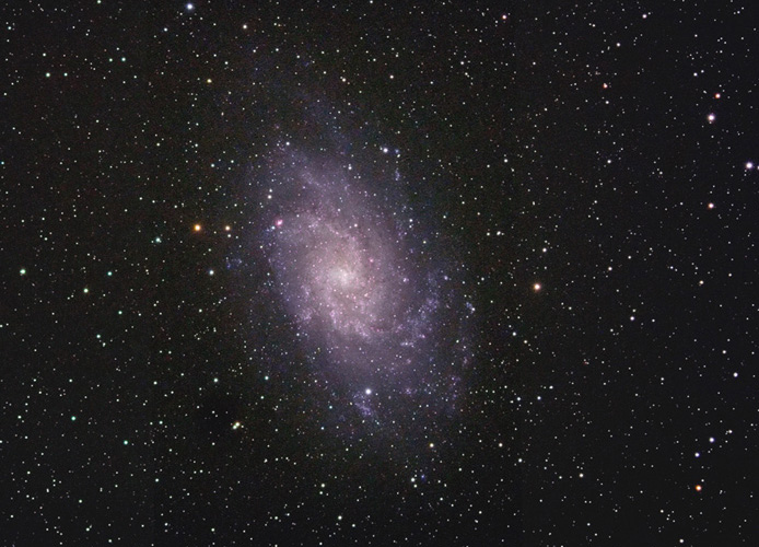 The Triangulum Galaxy (M33)