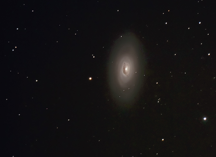 M64