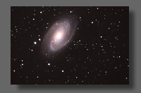 Spiral Galaxy M81