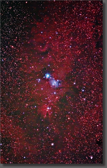 NGC 2264 - The Christmas Tree Cluster and Cone Nebula