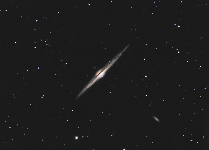 NGC 4565